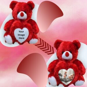 Customize Teddy Bear